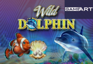 Wild Dolphin